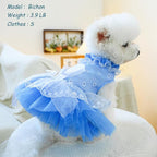 ANIAC Daisy Small Dog Dresses Female with Leash Ring,Bow Knot Girl Puppy Wedding Dress,Valentine's Cat Outfit,Fancy Pet Party Dress for Kitten Chihuahua Yorkie Pomeranian (Blue, Large)