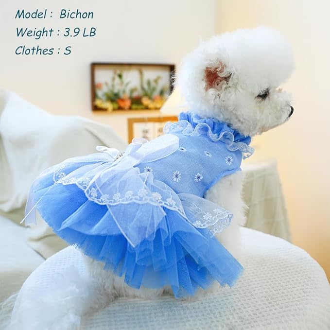 ANIAC Daisy Small Dog Dresses Female with Leash Ring,Bow Knot Girl Puppy Wedding Dress,Valentine's Cat Outfit,Fancy Pet Party Dress for Kitten Chihuahua Yorkie Pomeranian (Blue, Small)