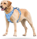 PoyPet No Pull Dog Harness, No Choke Reflective Dog Vest, Adjustable Pet Harnesses with Easy Control Padded Handle for Small Medium Large Dogs(Light Blue Matching Trim,XL)