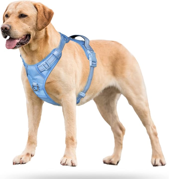 PoyPet No Pull Dog Harness, No Choke Reflective Dog Vest, Adjustable Pet Harnesses with Easy Control Padded Handle for Small Medium Large Dogs(Light Blue Matching Trim,XL)