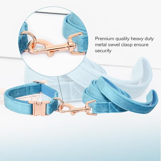 Bubblepup Velvet Dog Collar and Leash Set, Dog Collars for Small Medium Large Dogs Leash for Training & Walking