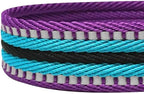 Blueberry Pet 4 Colors 3M Reflective Multi-Colored Stripe Martingale Safety Training Dog Collar, Violet and River Blue, Large, Heavy Duty Adjustable Collars for Dogs