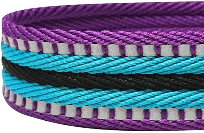 Blueberry Pet 4 Colors 3M Reflective Multi-Colored Stripe Martingale Safety Training Dog Collar, Violet and River Blue, Large, Heavy Duty Adjustable Collars for Dogs