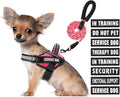 Service Dog Vest Harness and Leash Set, Animire in Training Dog Harness with 10 Dog Patches, Reflective Dog Leash with Soft Padded Handle for Small, Medium, Large, and Extra-Large Dogs (Rosy,S)