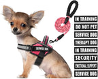 Service Dog Vest Harness and Leash Set, Animire in Training Dog Harness with 10 Dog Patches, Reflective Dog Leash with Soft Padded Handle for Small, Medium, Large, and Extra-Large Dogs (Rosy,S)