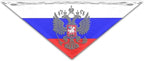Dog Bandanas Russian Eagle Emblem Flag Pet Bandana Scarf Triangle Bibs Kerchief Accessories for Dogs Cats