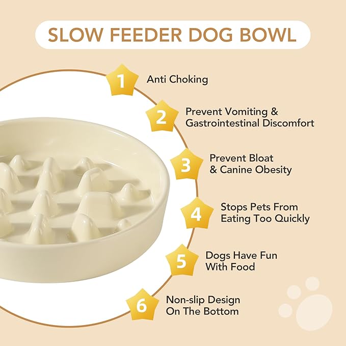 Ceramic Raised Slow Feeder Dog Bowl Set, Elevated 7.3inch Bowl and 8.2inch Slow Pet Food Dish with Wooden Stand for Medium and Large Dog (2 xLight Yellow+ Stand)