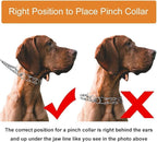 CBBPET Dog Prong Collar, Adjustable Dog Training Collar with Quick Release Buckle for Small Medium Large Dogs (Silver, M/3.0mNeck: 16"-18'' Weight:50 lbs)