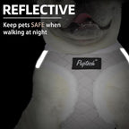 PUPTECK Plush Dog Harness and Leash Set for Small Medium Dogs No Pull Step-in Soft Mesh Puppy Cat Winter Vest Harnesses Reflective at Night Warm, Plush Grey, M