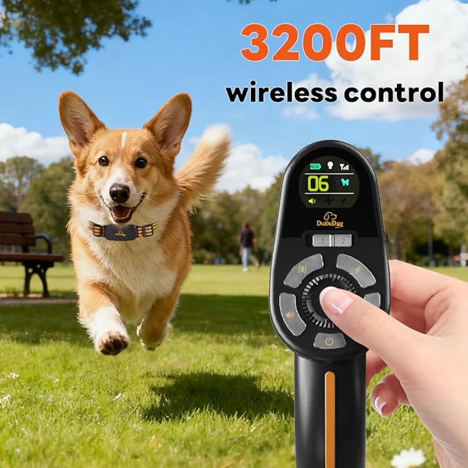 Adjustable Shock Levels Dog Training Collar with 9.8 FT Retractable Leash – Remote E-Collar for 2 Dogs, 3200 FT Range, Color Screen, Beep Vibration Static, IP67 Waterproof, USB-C Rechargeable