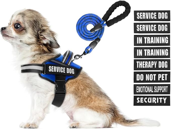 Service Dog Vest Harness and Leash Set, Animire in Training Dog Harness with 10 Dog Patches, Reflective Dog Leash with Soft Padded Handle for Small, Medium, Large, and Extra-Large Dogs (Blue, XS)