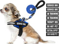 Service Dog Vest Harness and Leash Set, Animire in Training Dog Harness with 10 Dog Patches, Reflective Dog Leash with Soft Padded Handle for Small, Medium, Large, and Extra-Large Dogs (Blue, XS)
