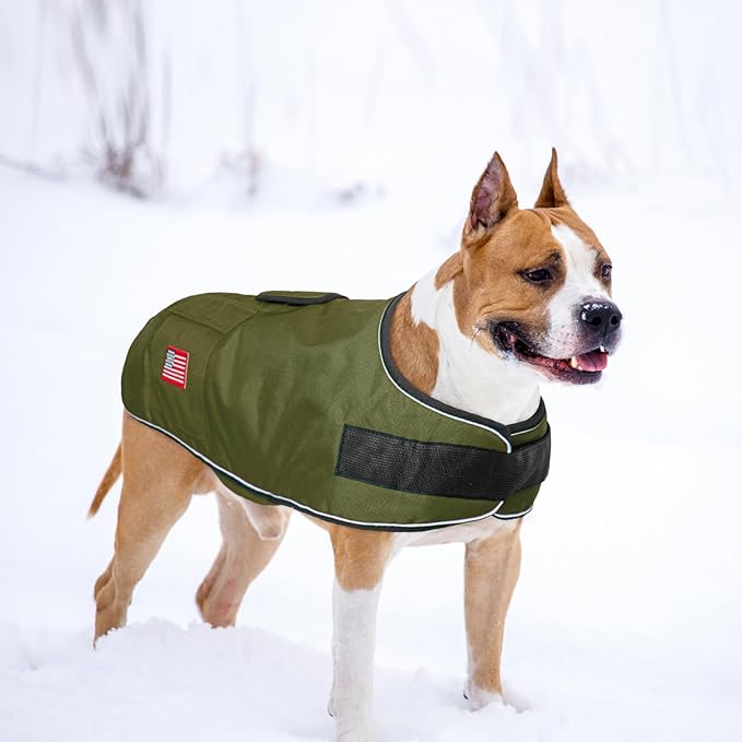 BEAUTYZOO Dog Winter Coat for X-Large Dogs Waterproof, Warm Reflective Great Dane Oxford Canvas Jacket, Fleece Dog Cold Weather Coats Windproof for Female Male Dogs, Green XL