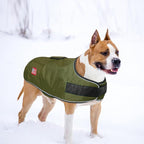 BEAUTYZOO Dog Winter Coat for X-Large Dogs Waterproof, Warm Reflective Great Dane Oxford Canvas Jacket, Fleece Dog Cold Weather Coats Windproof for Female Male Dogs, Green XL
