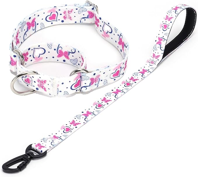 Martingale Collar and Leash Set, Premium No Slip Martingale Collar for Dogs Medium Large, Girl Dog Collars Training (NO19, L)