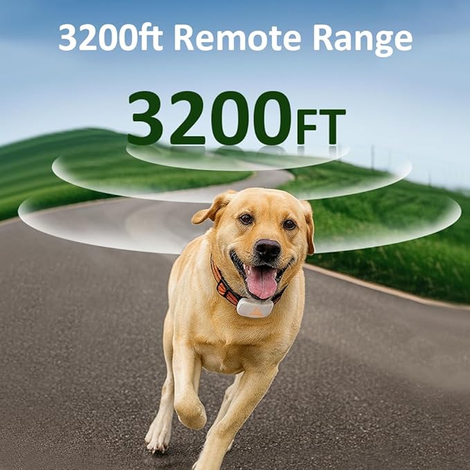 New Upgrade Training Shock Collar with 9.8FT Retractable Leash for Dog – 3200FT Remote E-Collar for Dogs, Color Screen Display, Beep Vibration Static, IP67 Waterproof, USB-C Rechargeable