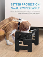 Vantic Elevated Dog Bowls, Adjustable Raised Dog Bowl Stand for Small Puppy and Cats, Sturdy Bamboo Pet Food Feeder with 2 Stainless Steel Dishes, Black