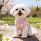 BEAUTYZOO Dog Fleece Vest Sweater Winter Jacket for Small and Medium Dogs with D-Ring Leash Cold Weather Coat Hoodie for XS S M Dogs Boy or Girls,Pink Daisy S