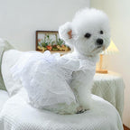 Fashion Sweet Puppy Dog Blingbling Princess Skirt Pet Dog Lace Cake Camisole Tutu Dress K-White XL