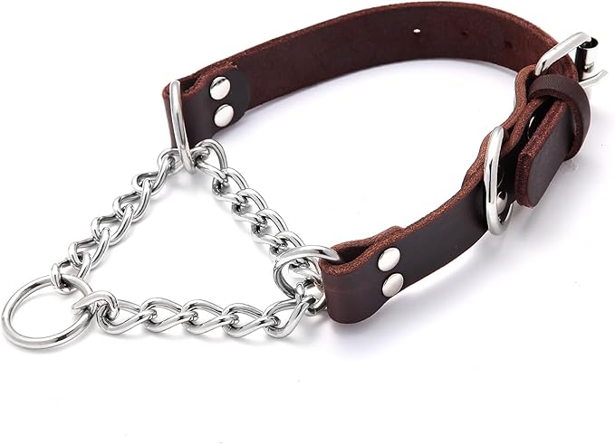 Leather Martingale Dog Collar, Genuine & Stainless Steel Chain Martingale Collar No-Pull Adjustable Anti-Slip Training & Walking Collar for Small Medium Large Breed Dogs Pets. (Medium: Neck 12"-19")
