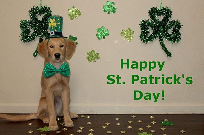 St Patricks Day Dog Costume - St. Patty's Day Doggie Headband and Green Bow Tie Kit