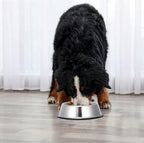 2 Pack Stainless Steel Dog Bowls with Rubber Bottom, Anti-Slip Heavy Duty Premium Quality Pets Feeder Bowls for Dogs and Cats and More (2Cup / 16oz)