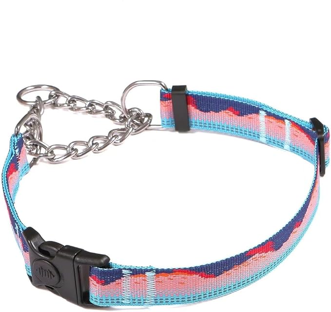 Martingale Dog Collars with Stainless Steel Chain, Reflective No Pull Walking Training Collar with Quick Release Buckle, Adjustable Slip Chain Nylon Dog Collars for Small Medium Large Dogs