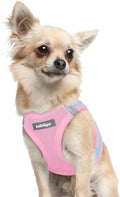 rabbitgoo Small Dog Harness, Step-in Soft Mesh Puppy Vest with Safety Buckle, Breathable Reflective Pet Harness for Extra Small Dogs, Blue & Light Pink XXXS