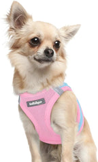 rabbitgoo Small Dog Harness, Step-in Soft Mesh Puppy Vest with Safety Buckle, Breathable Reflective Pet Harness for Extra Small Dogs, Blue & Light Pink XXXS