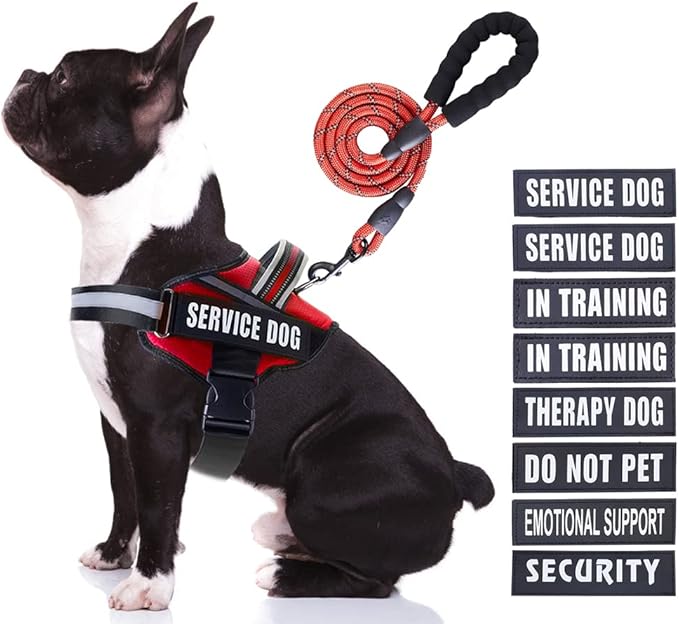 Service Dog Vest Harness and Leash Set, Animire in Training Dog Harness with 10 Dog Patches, Reflective Dog Leash with Soft Padded Handle for Small, Medium, Large, and Extra-Large Dogs (RED,M)