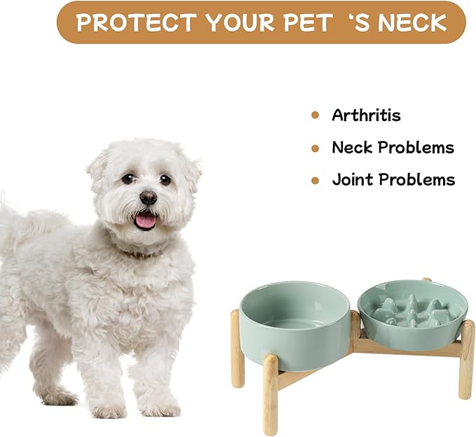 Ceramic 0.9 Cup Raised Slow Feeder Dog Bowl Set, Elevated 6.1inch Slow Dish and 6.1inch Water Bowl with Wooden Stand for Small Dogs (2 x Light Green+ Stand)