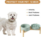 Ceramic 0.9 Cup Raised Slow Feeder Dog Bowl Set, Elevated 6.1inch Slow Dish and 6.1inch Water Bowl with Wooden Stand for Small Dogs (2 x Light Green+ Stand)