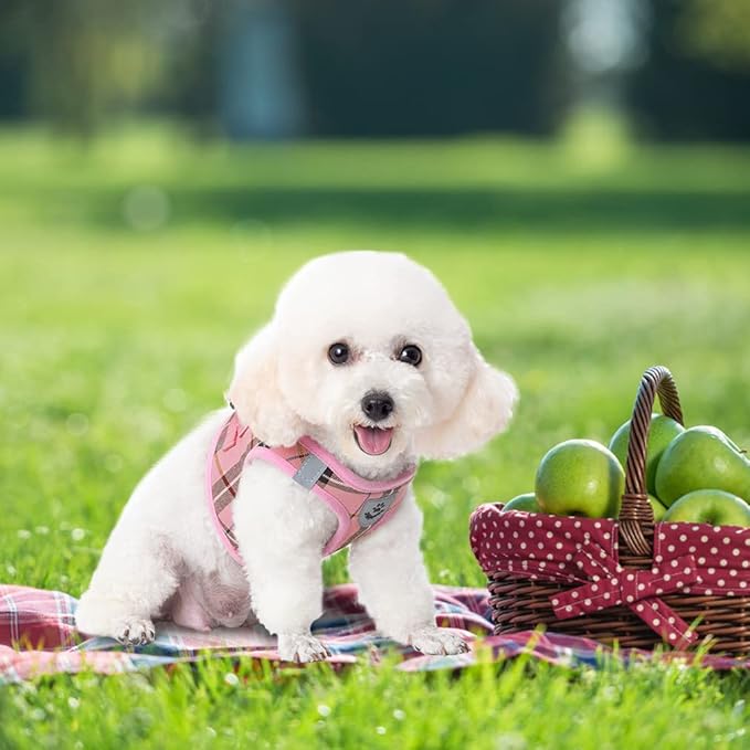 EXPAWLORER Classic Plaid Puppy Harness - Small Dog Harness and Leash Set - Dog Collar and Leash Set with AirTag Holder, Soft Padded Step in Dog Vest Harness No Pull Reflective for Outdoor, Pink XS