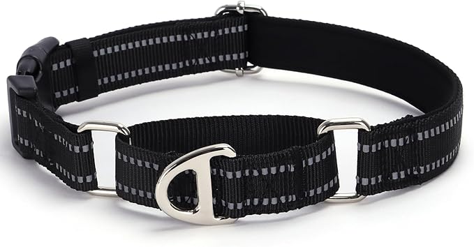 Martingale Collar for Dogs - Reflective Nylon, No Slip Choke Heavy Duty Collar with Quick Release Buckle- Safe Fit for Training & Walking Black M