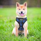 PUPTECK Soft Mesh Dog Harness and Leash Set Pet Puppy Cat Comfort Padded Vest No Pull Harnesses, Navy Blue, M