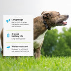 Premier Pet Dog Shock Collar - Safe Behavior Training - 1000ft Long Range Training Shock Collar with Remote - Waterproof Rechargeable Design - 3 Modes - 16 Levels of Static Stimulation