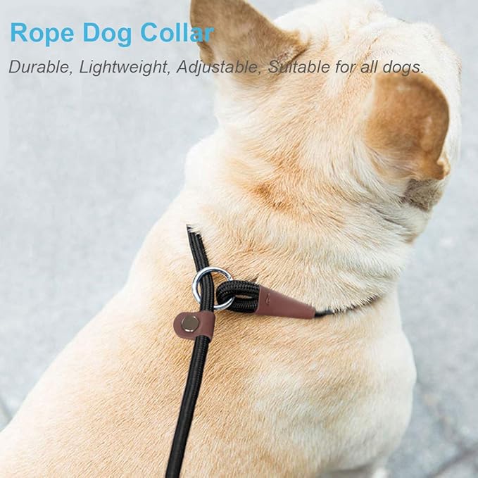 MayPaw Slip Collar Nylon Rope Adjustable Collar for Dog Training- No Pull Round Martingale Dog Collars for Small Medium Large Dogs (24" x 1/2", Orange)