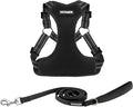 Best Pet Supplies Voyager Adjustable Step-in Flex Breathable Mesh Dog Harness for Small Medium Large Dogs Leash Set (Black), L