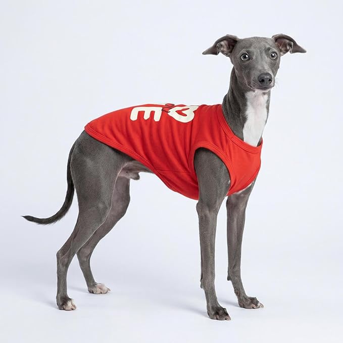 Fitwarm Love You Dog Shirt, Funny Valentines Outfit for Small Dogs Boy Girl, Festive Pet Clothes, Red, White, XL