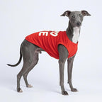 Fitwarm Love You Dog Shirt, Funny Valentines Outfit for Small Dogs Boy Girl, Festive Pet Clothes, Red, White, Large