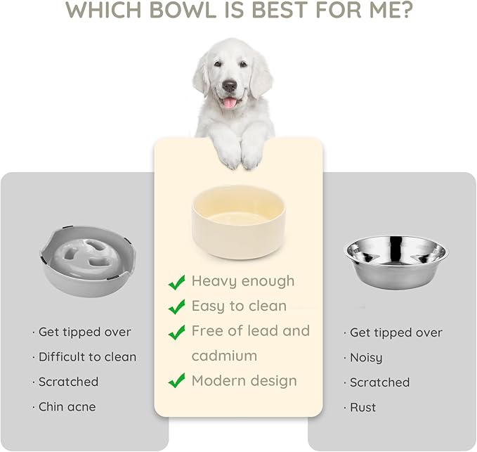 SPUNKYJUNKY 60OZ Ceramic Dog and Cat Bowl, Modern Cute Weighted Food Water Bowl for Replacement Beige (2 Pack)