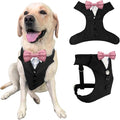 AVERYDAY Dog Tuxedo for Wedding Outfit, Dog Suit and Tie Costumes for Birthday, Halloween, Cosplay, Christmas Party, Pet Formal Wear with Bowtie, Tux for Medium Large Dogs, Bulldog, Labrador, Husky