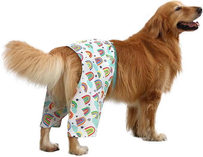 HDE Dog Swim Trunks Hawaiian Board Shorts Beach Pool Swimsuit for XS to XXL Dogs Rainbows - L