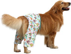 HDE Dog Swim Trunks Hawaiian Board Shorts Beach Pool Swimsuit for XS to XXL Dogs Rainbows - XXL