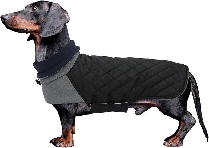 Geyecete Dachshund Coat Winter,Warm Dachshund Coat Waterproof Windproof, High Neckine String Holes Miniature Dachshund Jacket for Small Dog-Black-XL