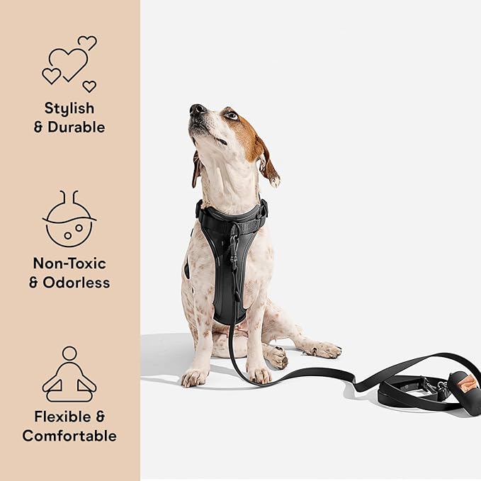 Wild One Dog Harness, The Original No-Pull, Pet Harness with 3 Leash Clips, Adjustable Soft Padded Vest, Comfortable, Stretchy, Size S, Black