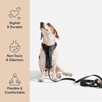 Wild One Dog Harness, The Original No-Pull, Pet Harness with 3 Leash Clips, Adjustable Soft Padded Vest, Comfortable, Stretchy, Size XS, Black