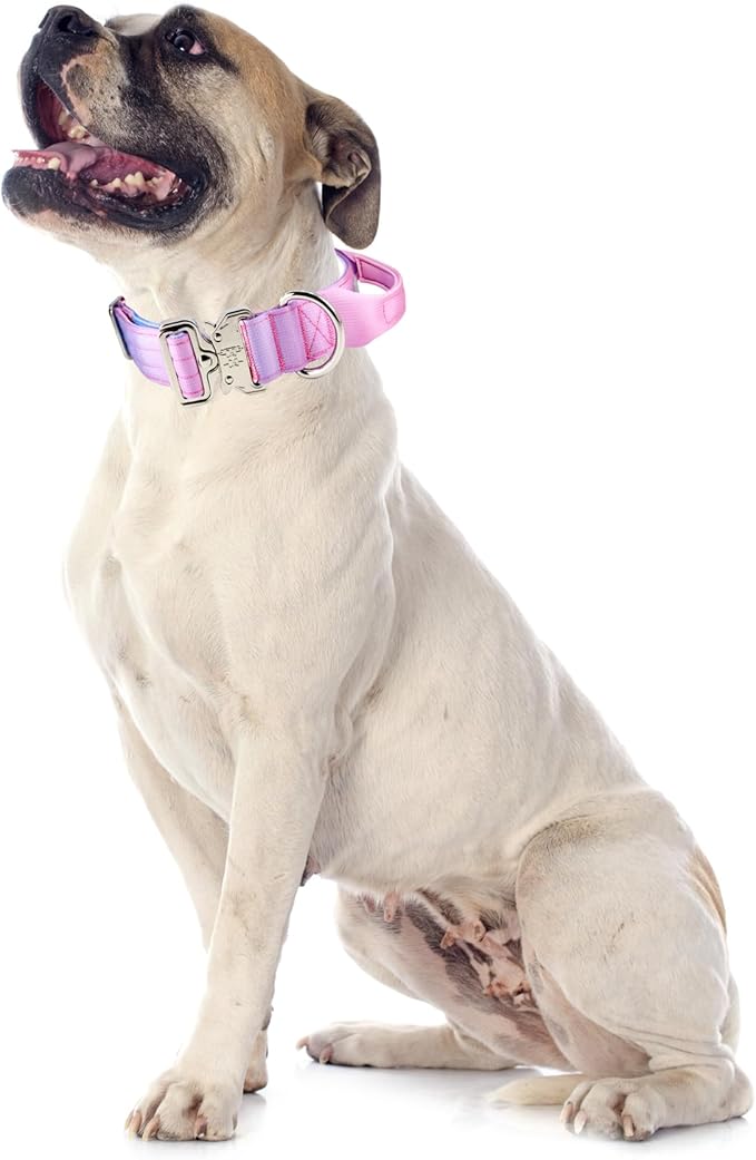 Tactical Dog Collar, 1.5" Wide Thick Heavy Duty Dog Collar with Handle, Soft Neoprene Padded Military-Grade Nylon Training Collar with Quick Release Metal Buckle for Medium Dogs (Pink, M)