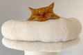 Plush Cat Bed for Large Cat Tree Cat Tower, 17.7"x 17.7"