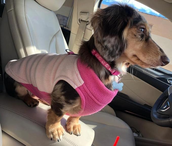 Gooby Half Stretch Fleece Vest Sweater - Peach, Large - Warm Pullover Jacket with D-Ring Leash - Winter Small Dog Coat - Cold Weather Clothes for Small Dogs Boy or Girl